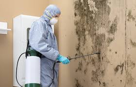 Best Mold Removal for HVAC Installations  in Mount Sinai, NY